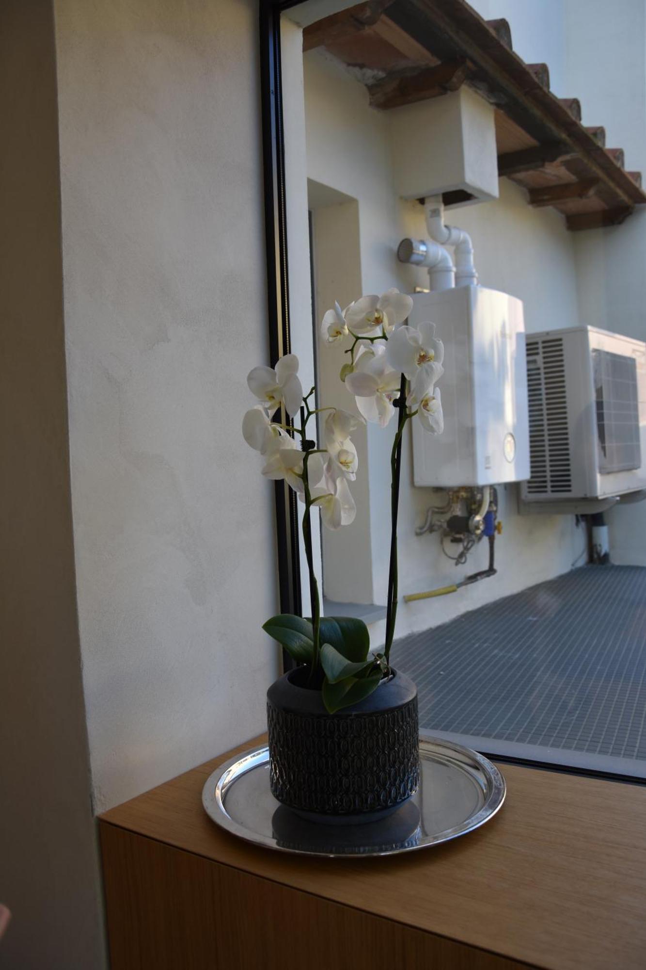 Apartmán Il Giardino Di Dinda Arezzo Exteriér fotografie